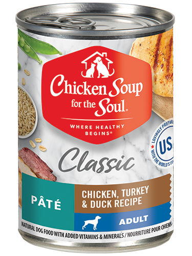 Chicken Soup Adult Chicken, Turkey and Duck Wet Dog Can (13oz)