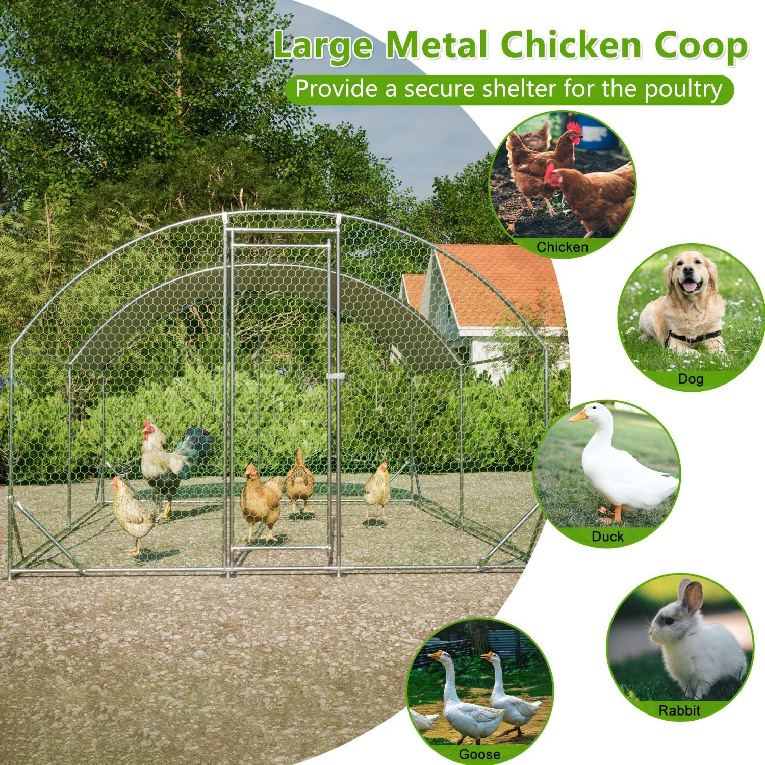 Large Walk-In Metal Chicken Run – Outdoor Coop with Roof Cover