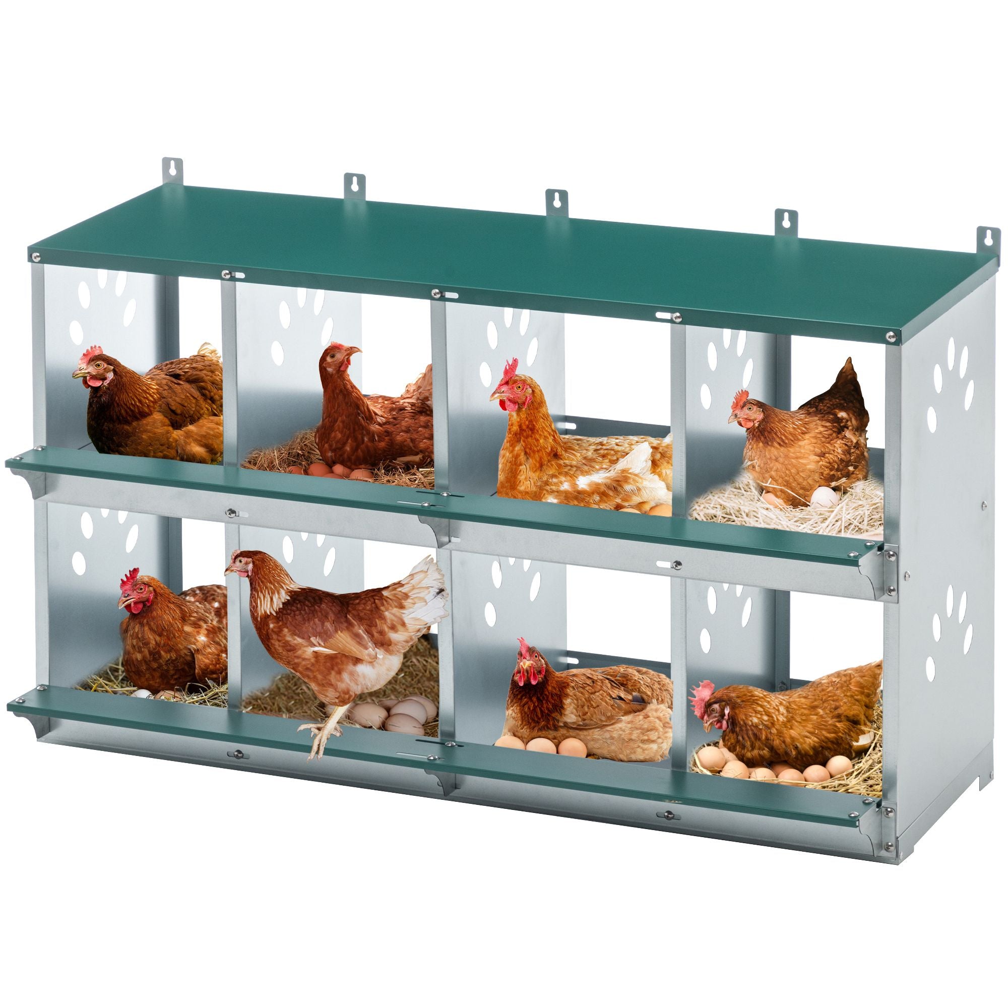 8-Compartment Chicken Nesting Box – Galvanized Steel Wall-Mount Coop