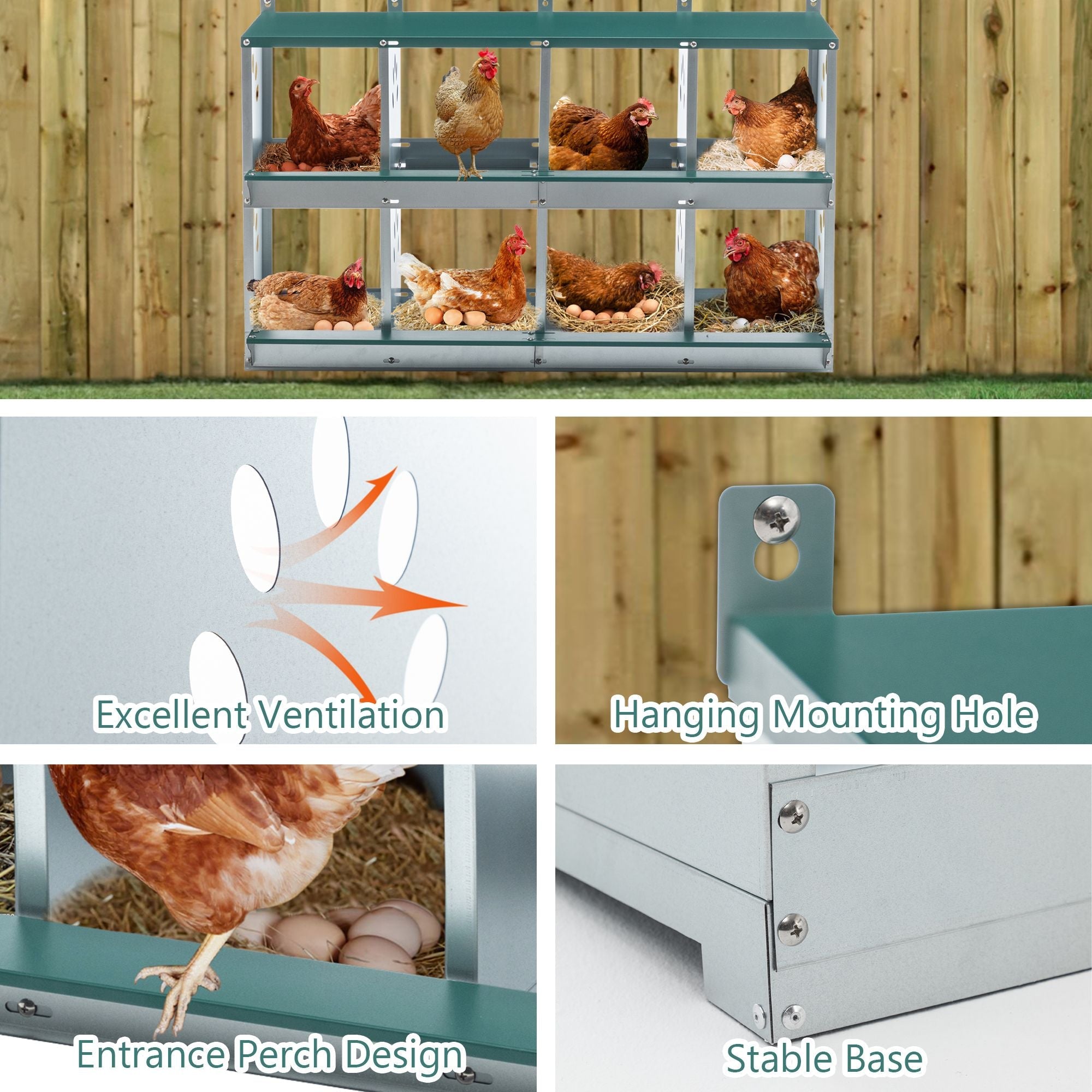8-Compartment Chicken Nesting Box – Galvanized Steel Wall-Mount Coop