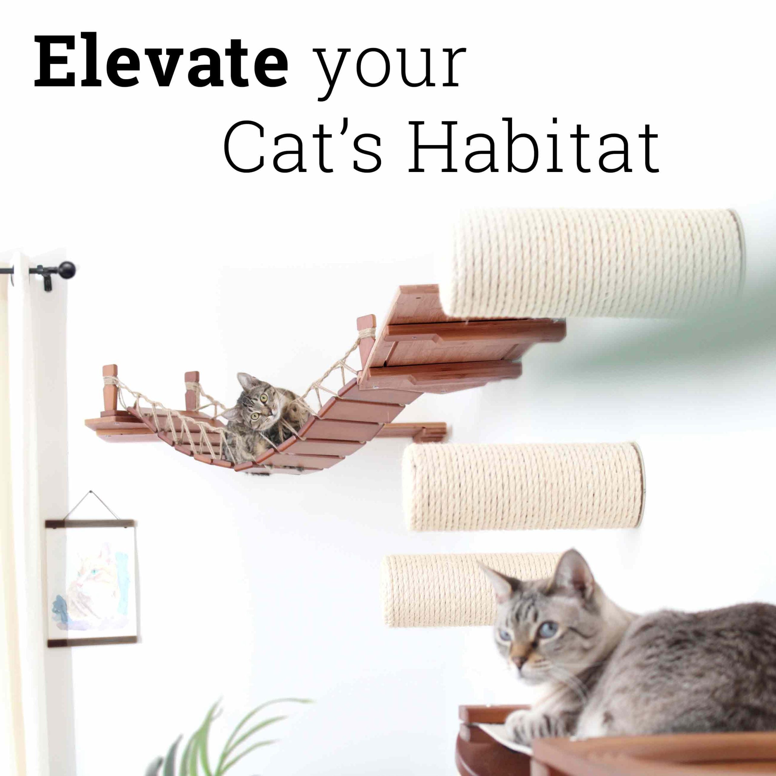 Corner Cat Shelf Bridge