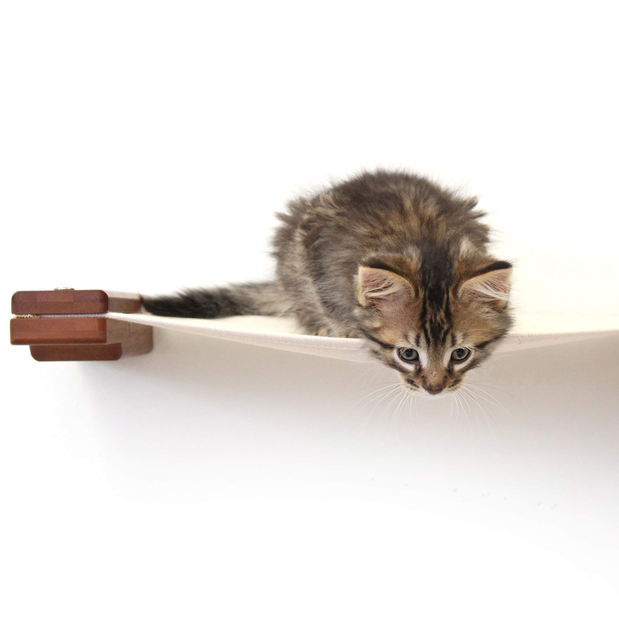 Hanging Cat Bed Hammock