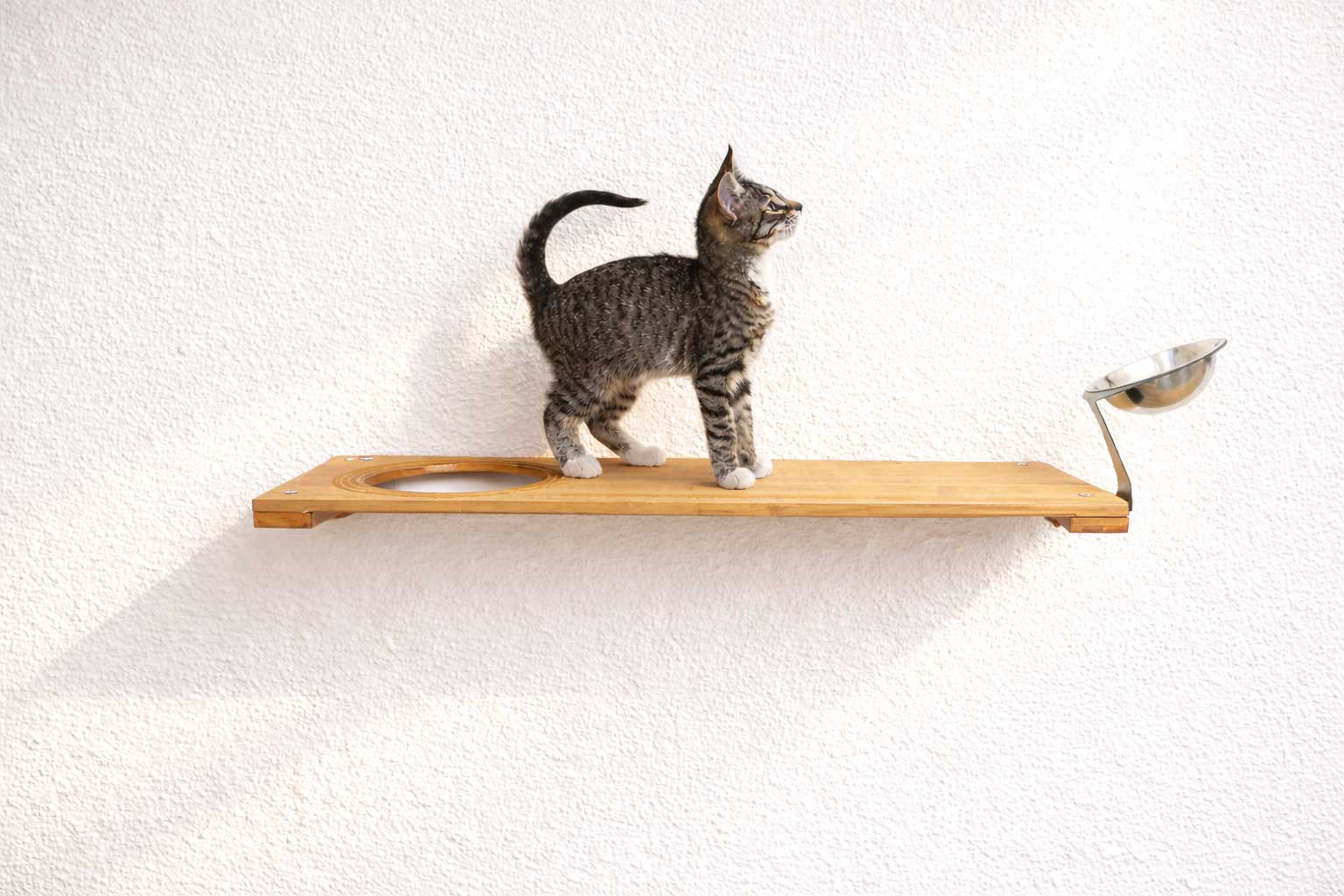 Wall Mounted Cat Feeding Shelf