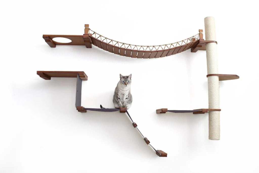 The Expedition - Cat Jungle Gym Wall System