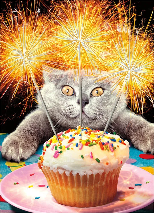 Avanti Cat With Sparkler Cake Greeting Card