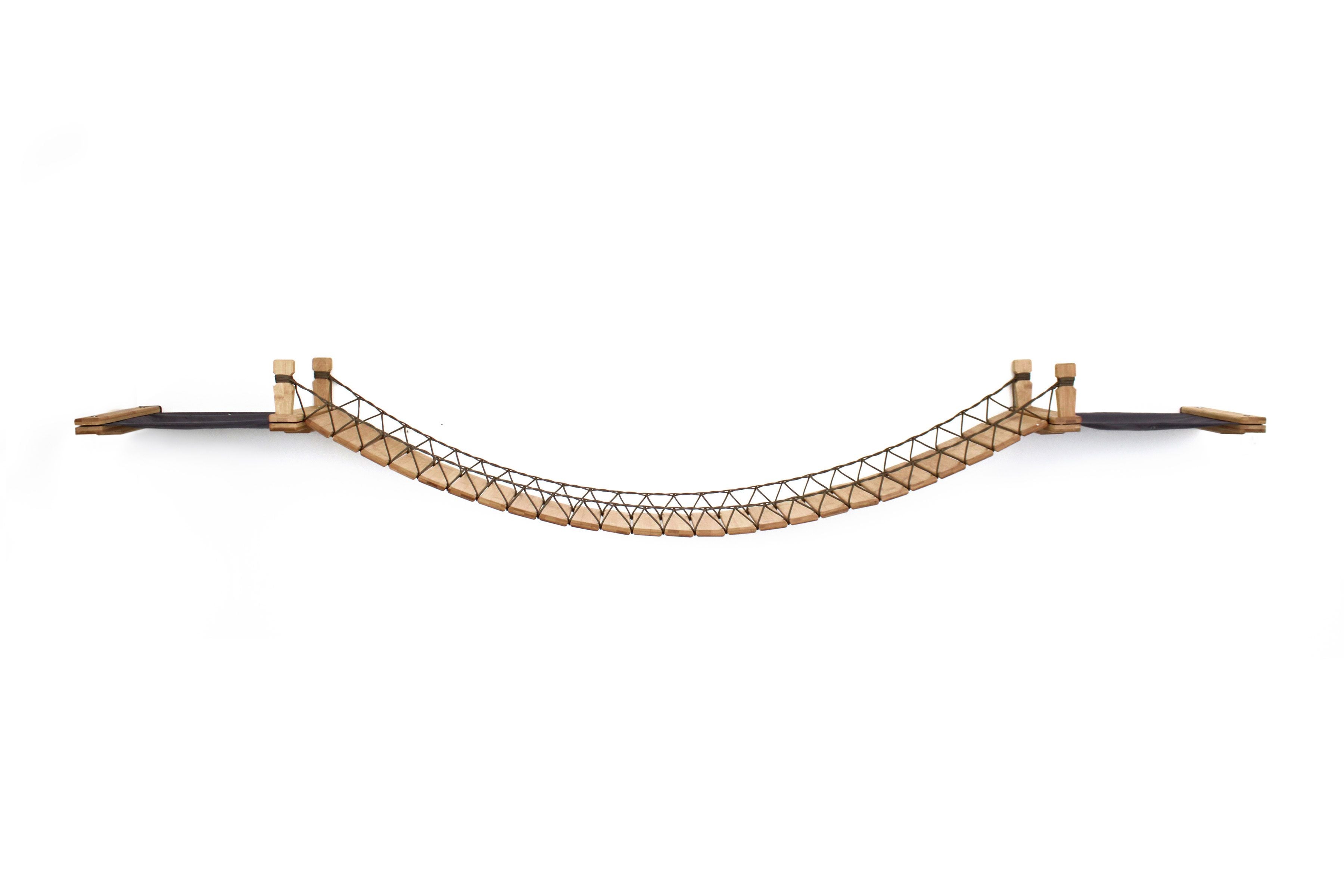 Double Cat Hammock and Climbing Bridge Combo