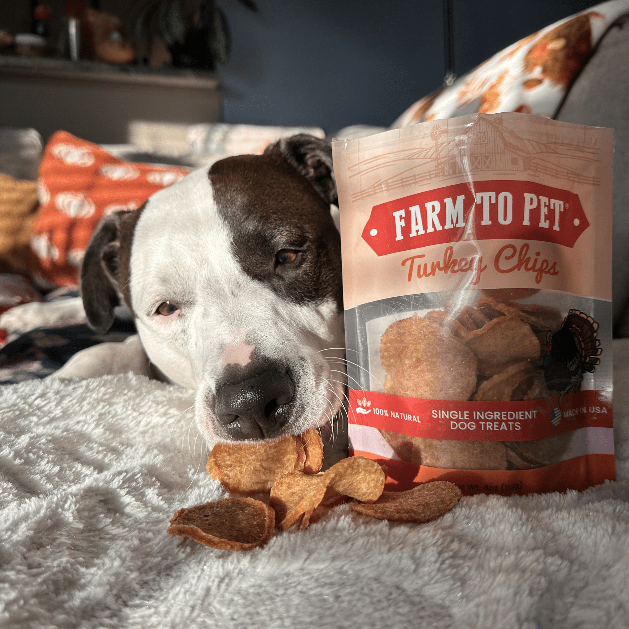 Farm To Pet Turkey Chips for Dogs