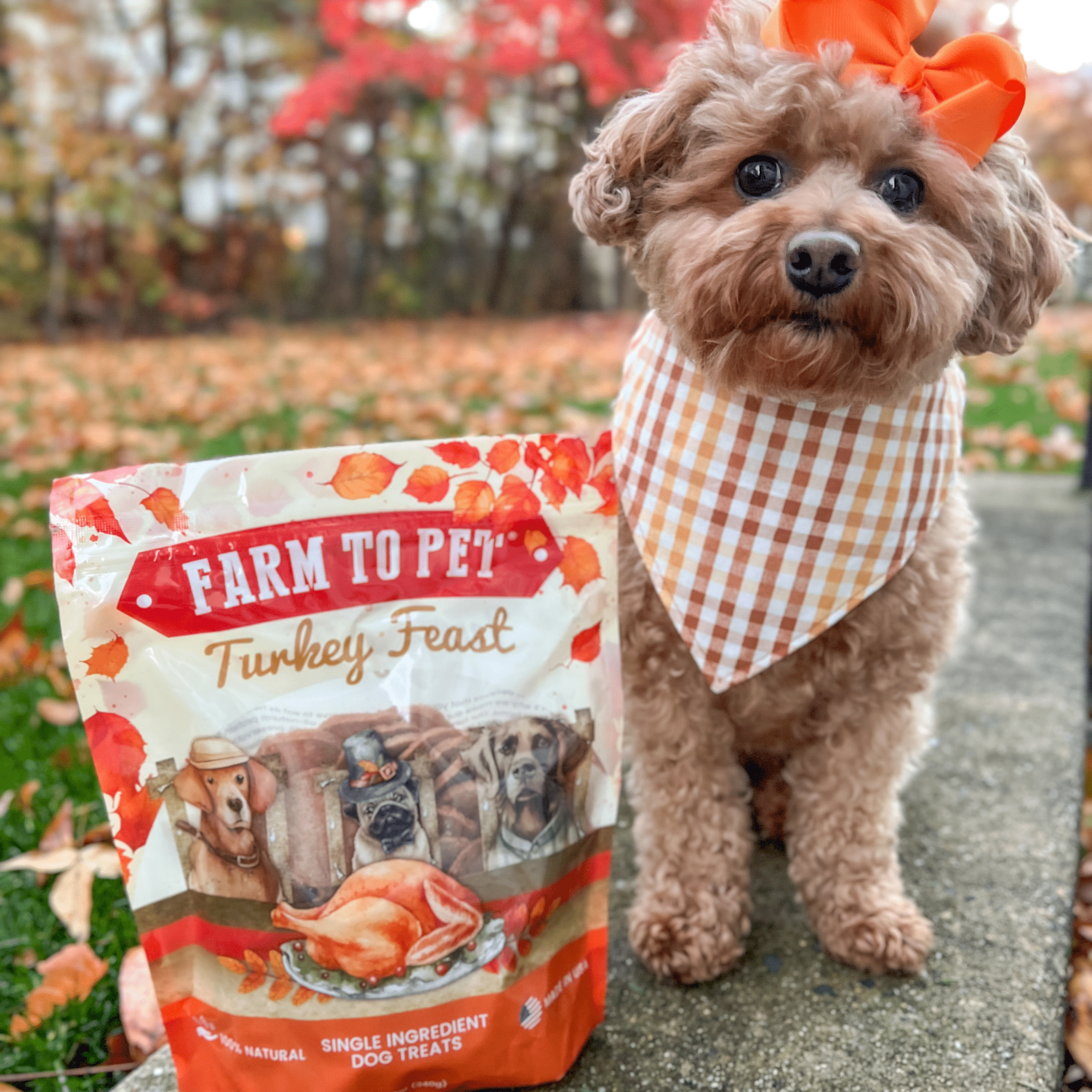 Farm To Pet Turkey Feast Chips (12oz)