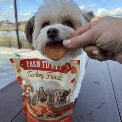 Farm To Pet Turkey Feast Chips (12oz)