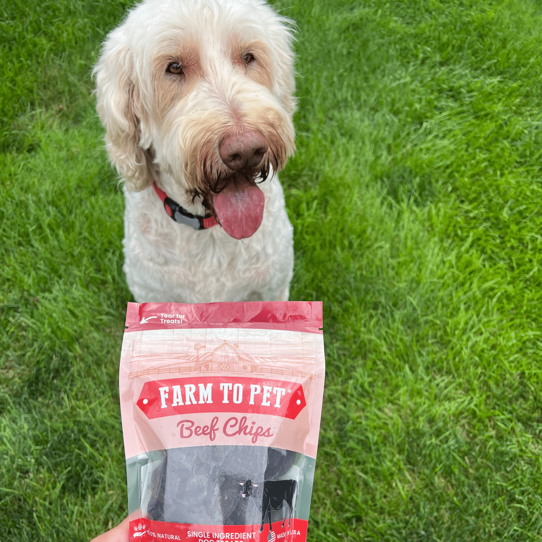 Farm To Pet Beef Chips for Dogs