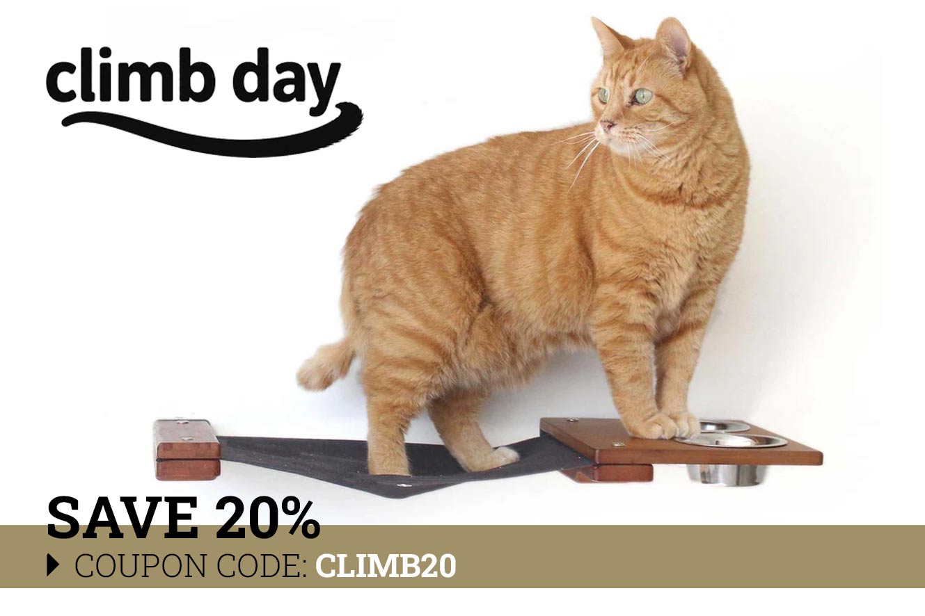 Dog Proof Cat Feeder - Wall-Mounted - Raised