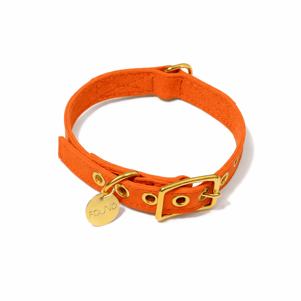 Fire Orange Waxed Cotton Canvas Cat & Dog Collar