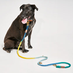 Found My Animal Azure Cotton Rope Dog Leash, Adjustable