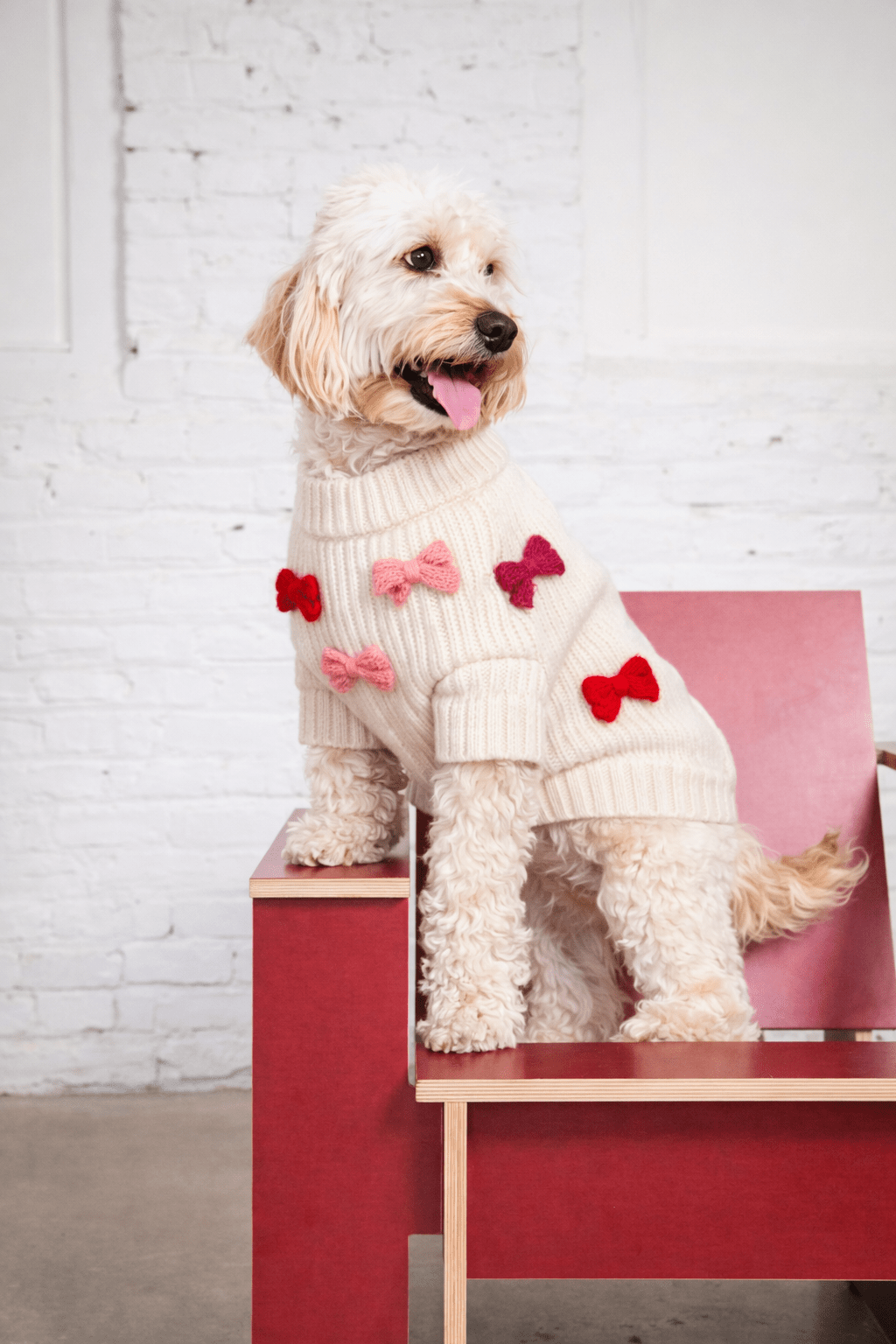 Found My Animal Bow Sweater - Red & Pink