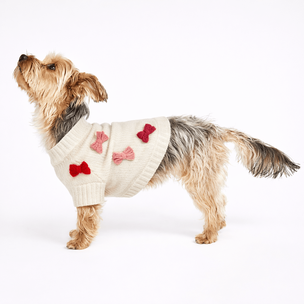 Found My Animal Bow Sweater - Red & Pink