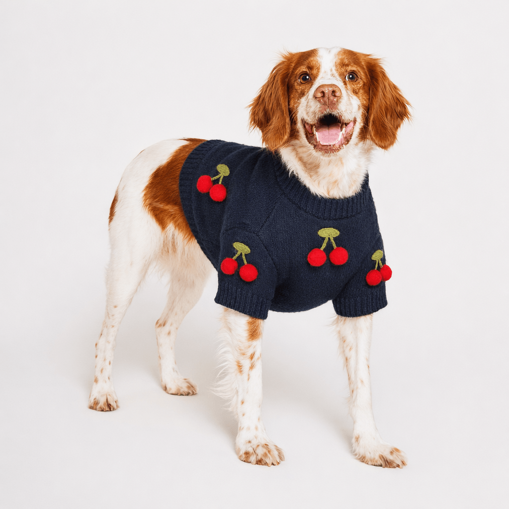 Found My Animal Cherries 3D Icon Sweater
