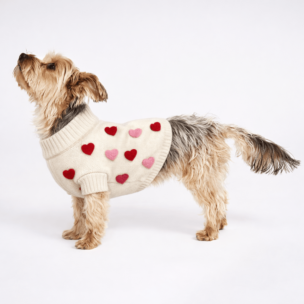 Found My Animal Heart 3D Icon Sweater