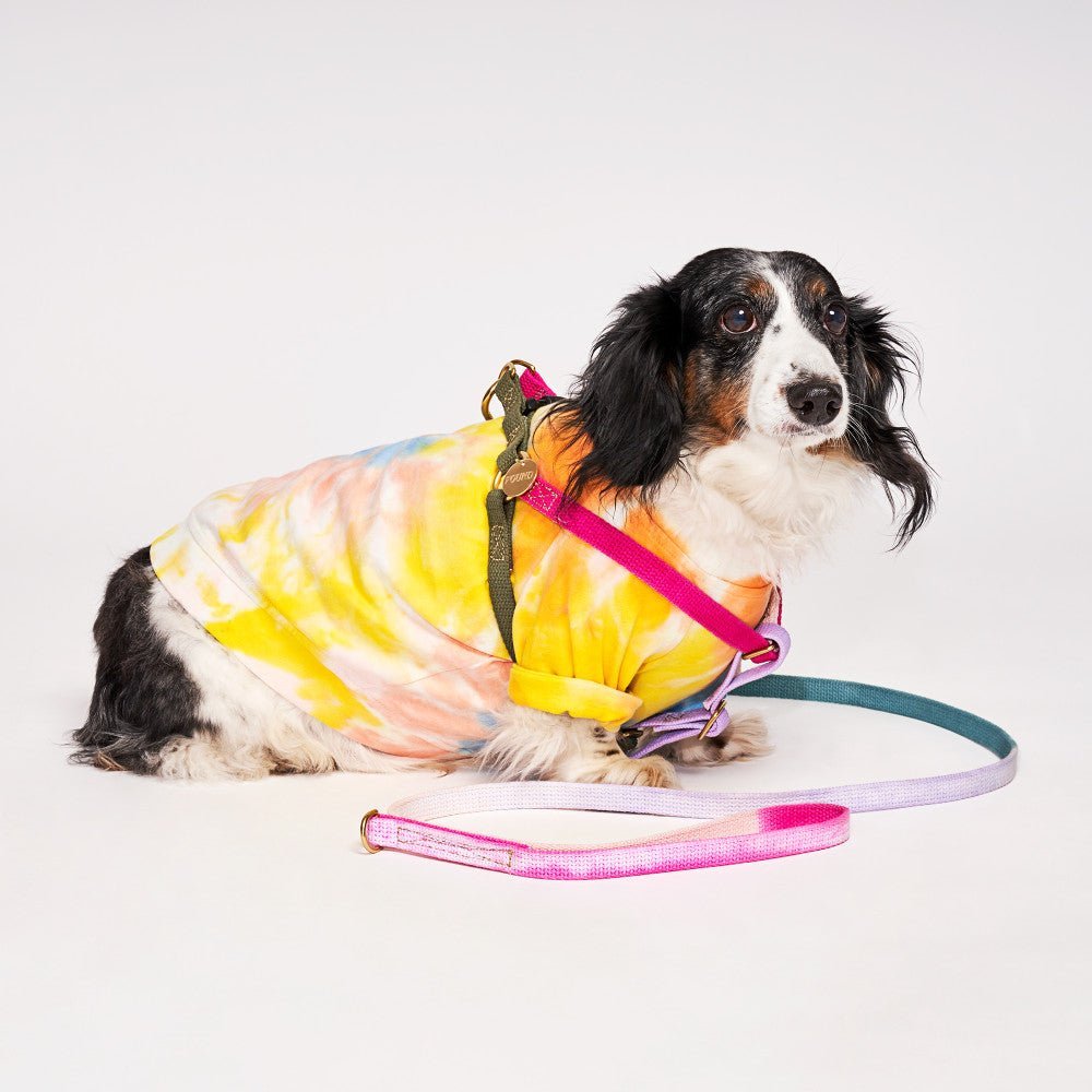 Found My Animal Jolie Webbing Cotton Dog & Cat Harness – Adjustable, Durable & Stylish