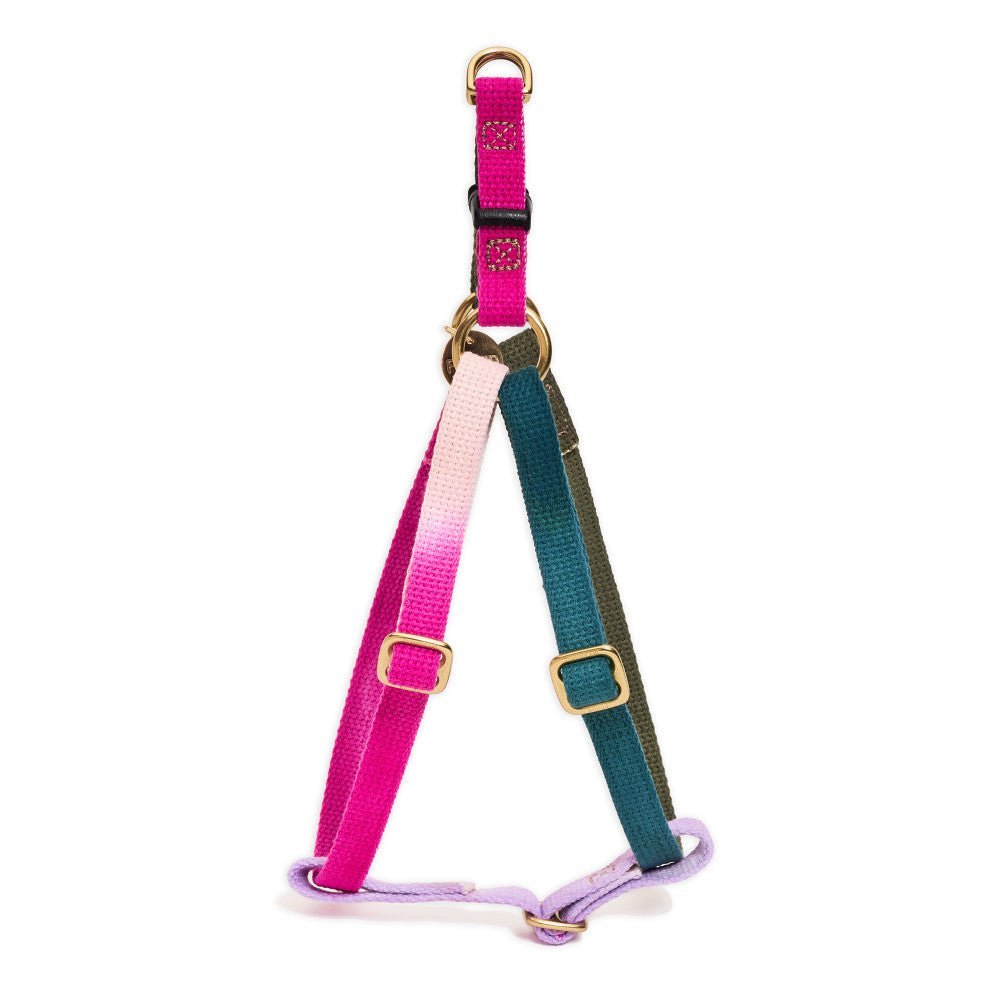 Found My Animal Jolie Webbing Cotton Dog & Cat Harness – Adjustable, Durable & Stylish