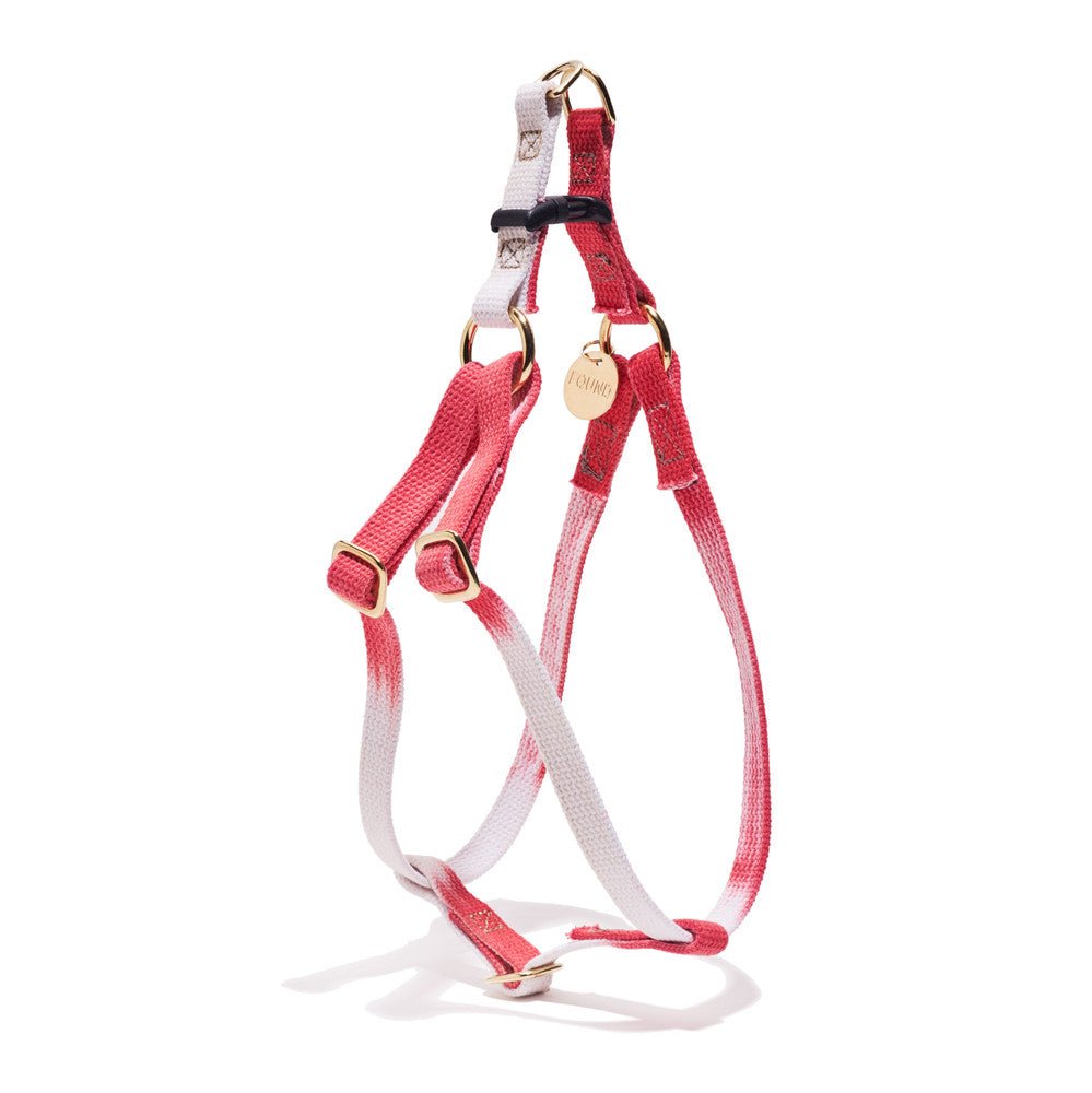 Found My Animal Scarlet Cotton Dog & Cat Harness – Adjustable, Durable & Stylish