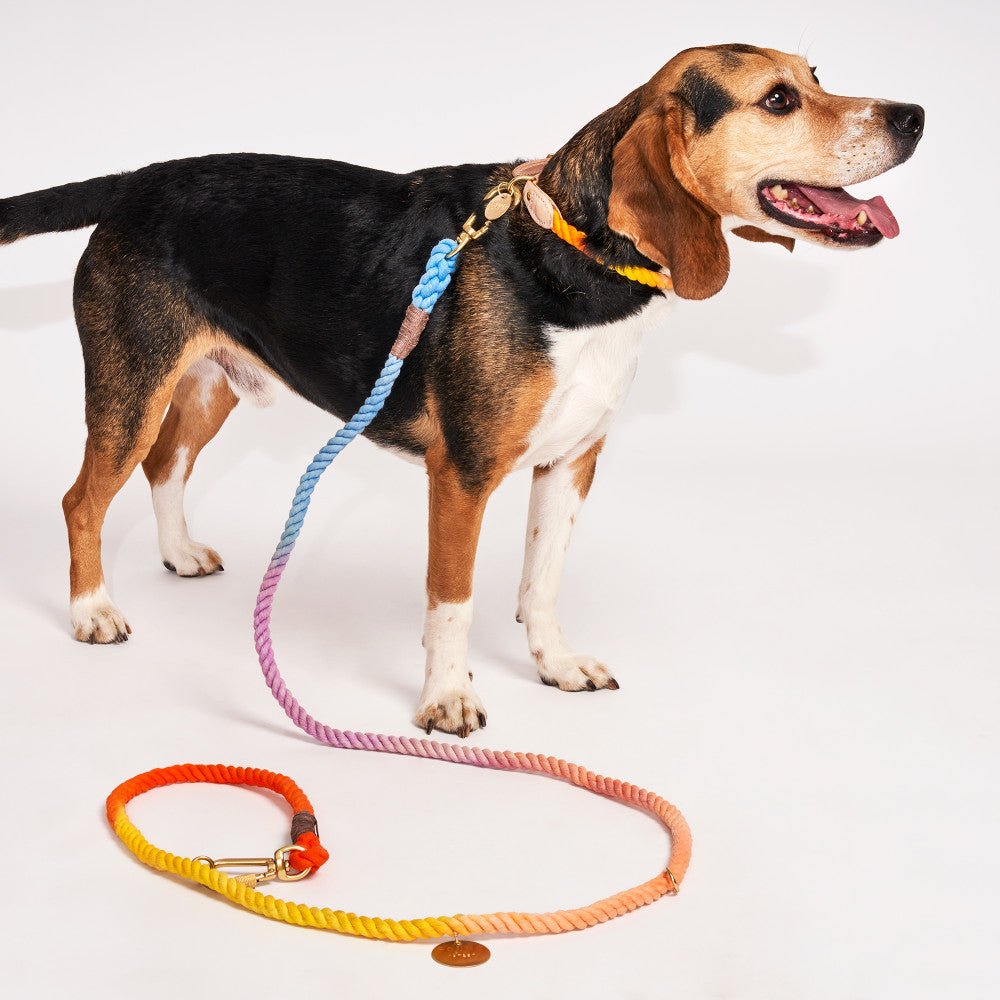Soleil Cotton Rope Cat & Dog Collar