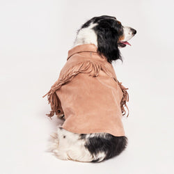 Found My Animal Tan Faux Leather Fringe Dog Jacket