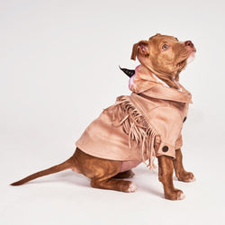 Found My Animal Tan Faux Leather Fringe Dog Jacket