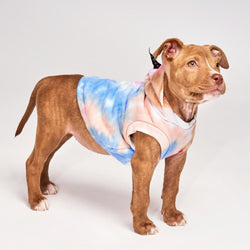 Found My Animal Tie Dye Dog Hoodie