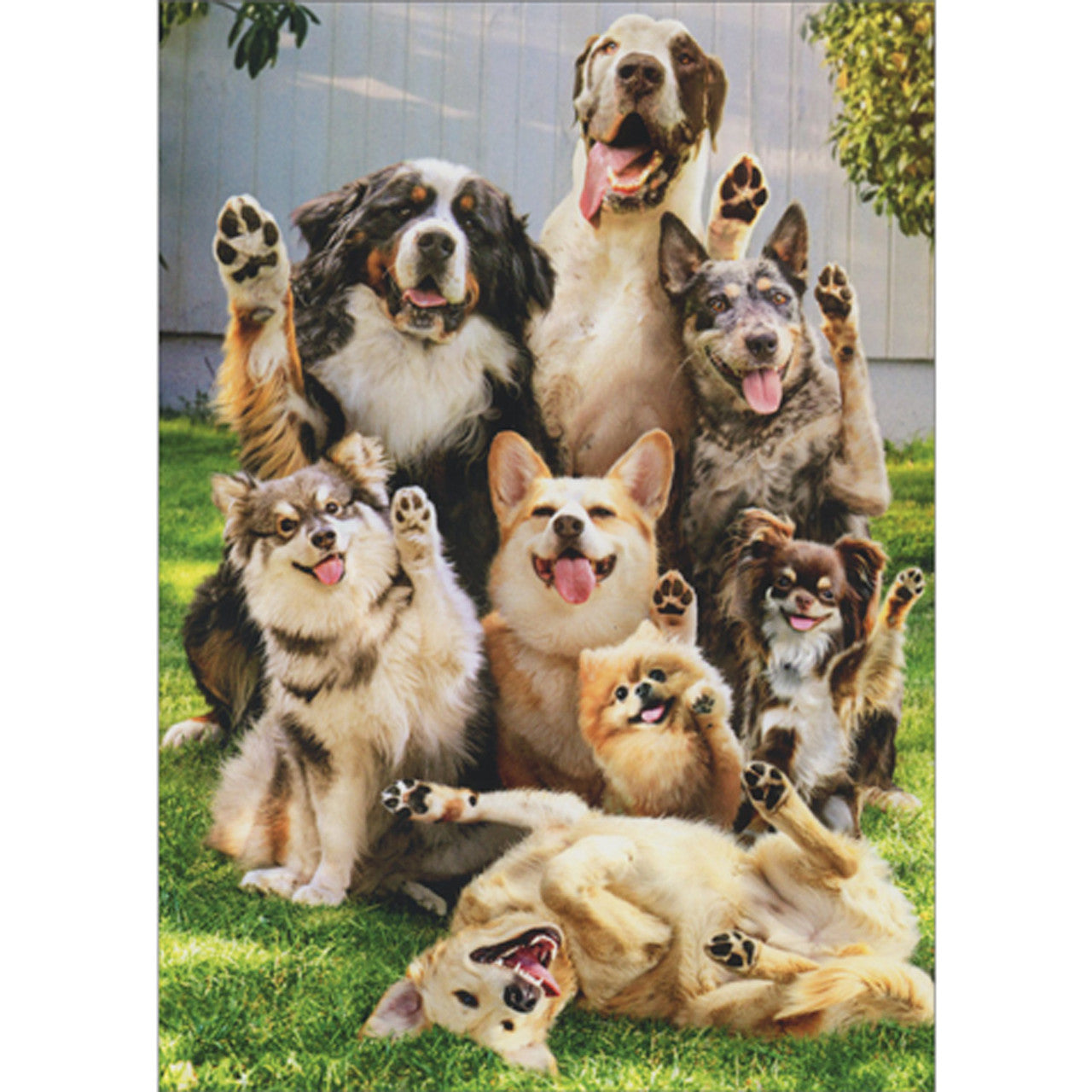 Avanti Dogs Waving Goodbye Greeting Card