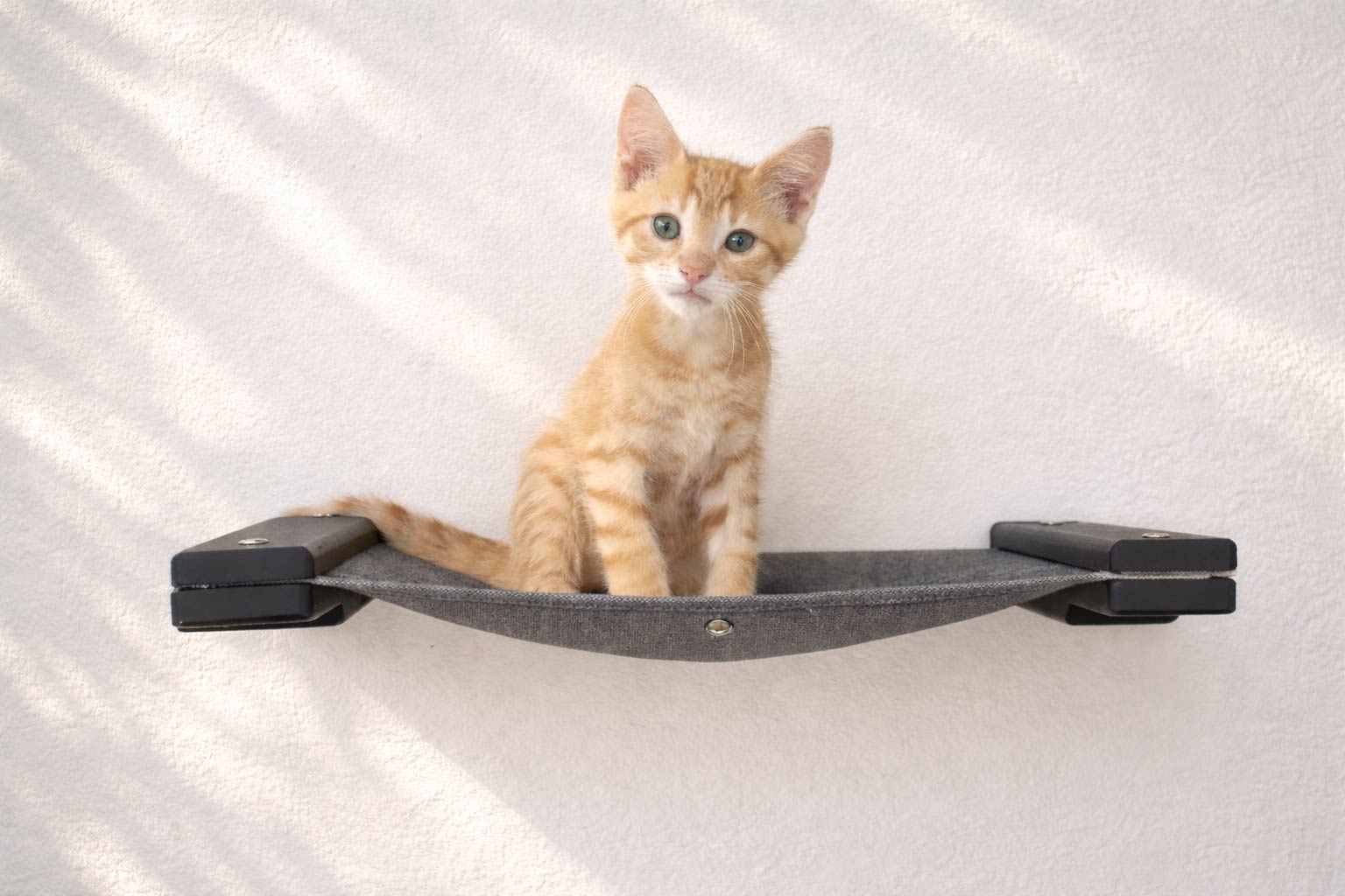 Hanging Cat Bed Hammock