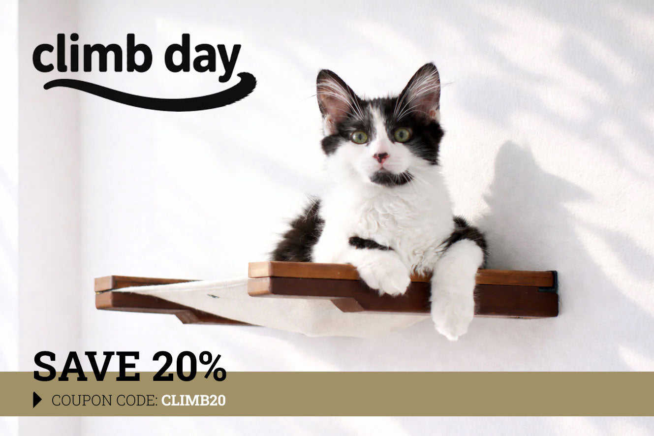 Hanging Cat Bed Hammock