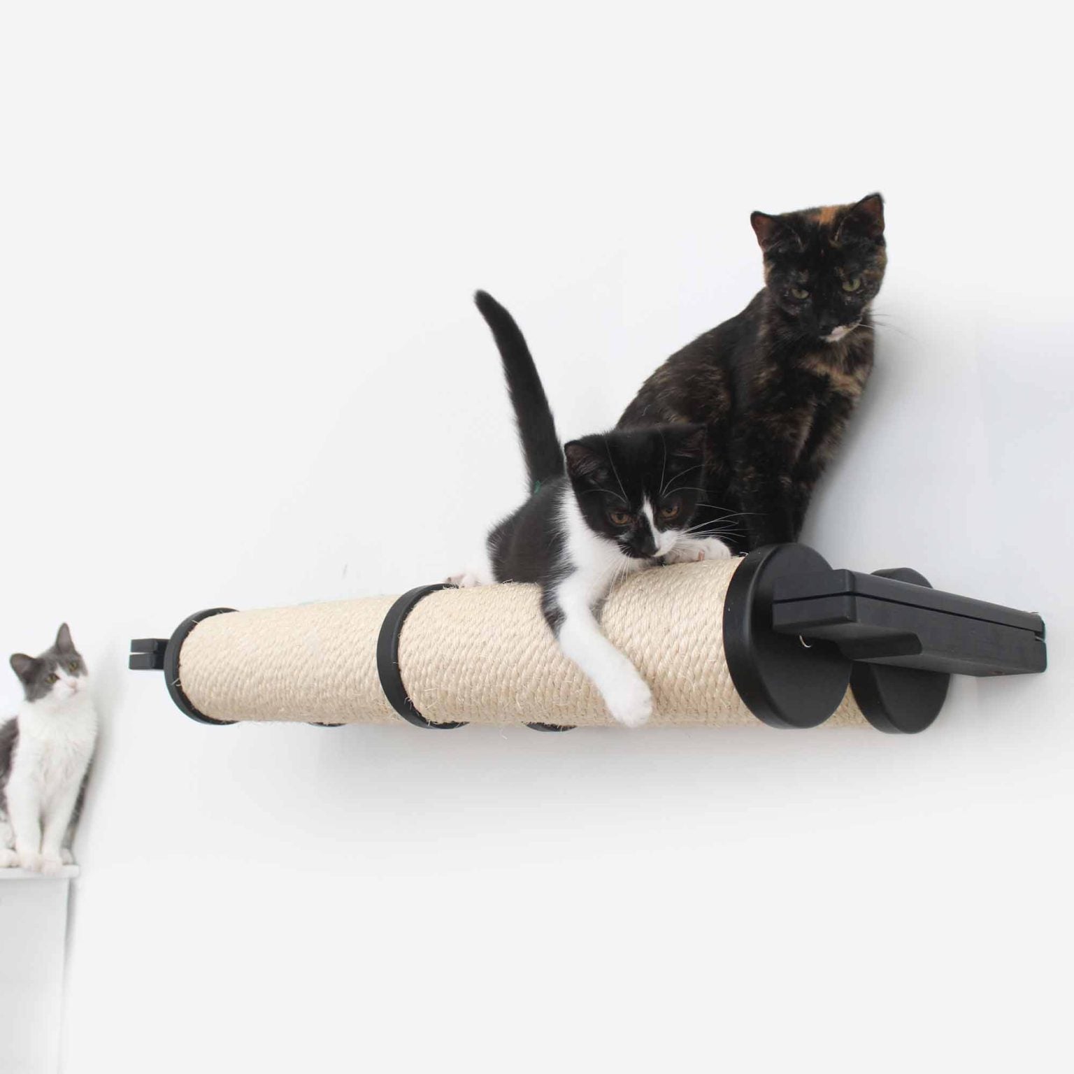 Horizontal Scratching Post for Cats