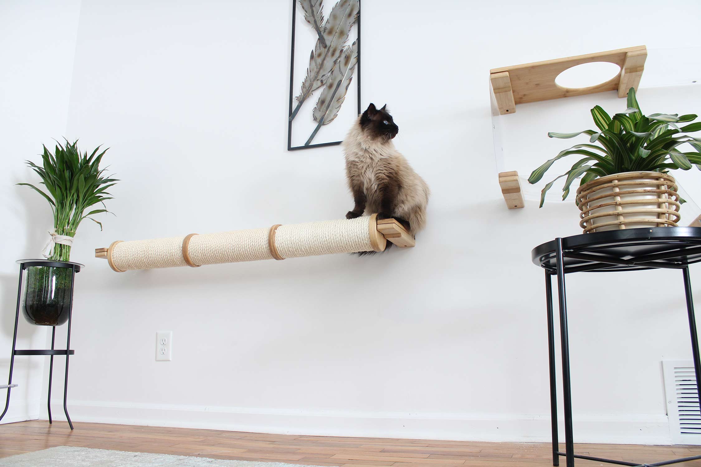 Horizontal Scratching Post for Cats