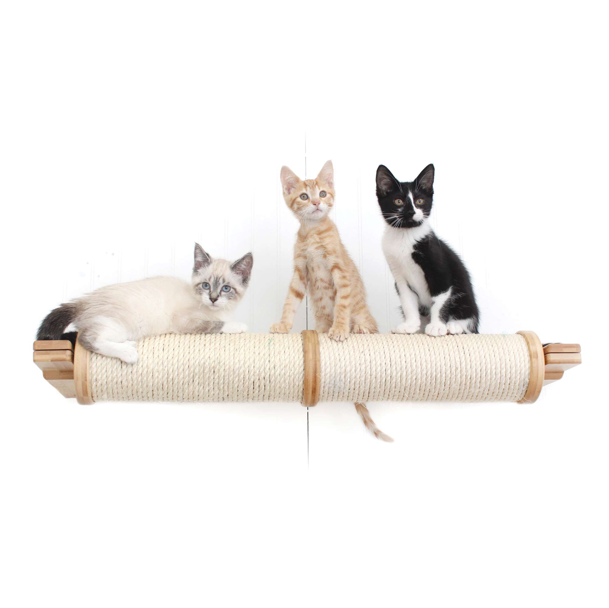 The Family Pet