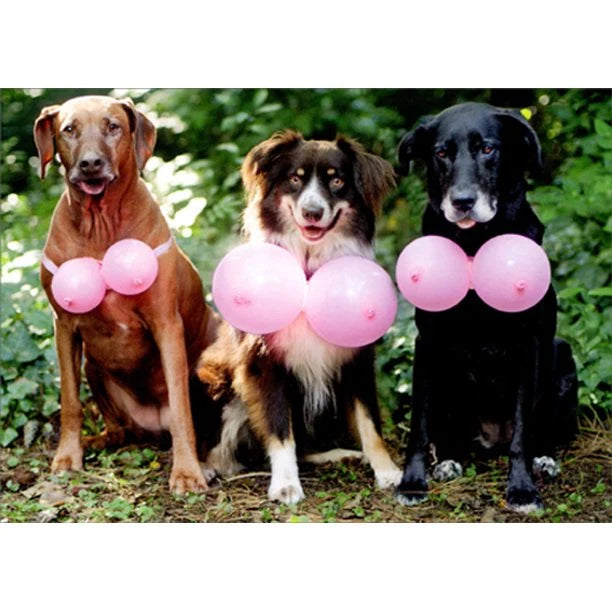 Avanti Three (3) Dogs With Pink Balloons Greeting Card