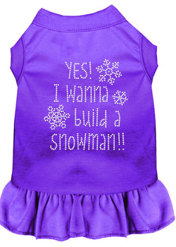 Christmas Pet Dog & Cat Dress Rhinestone, "Yes! I Want To Build A Snowman"