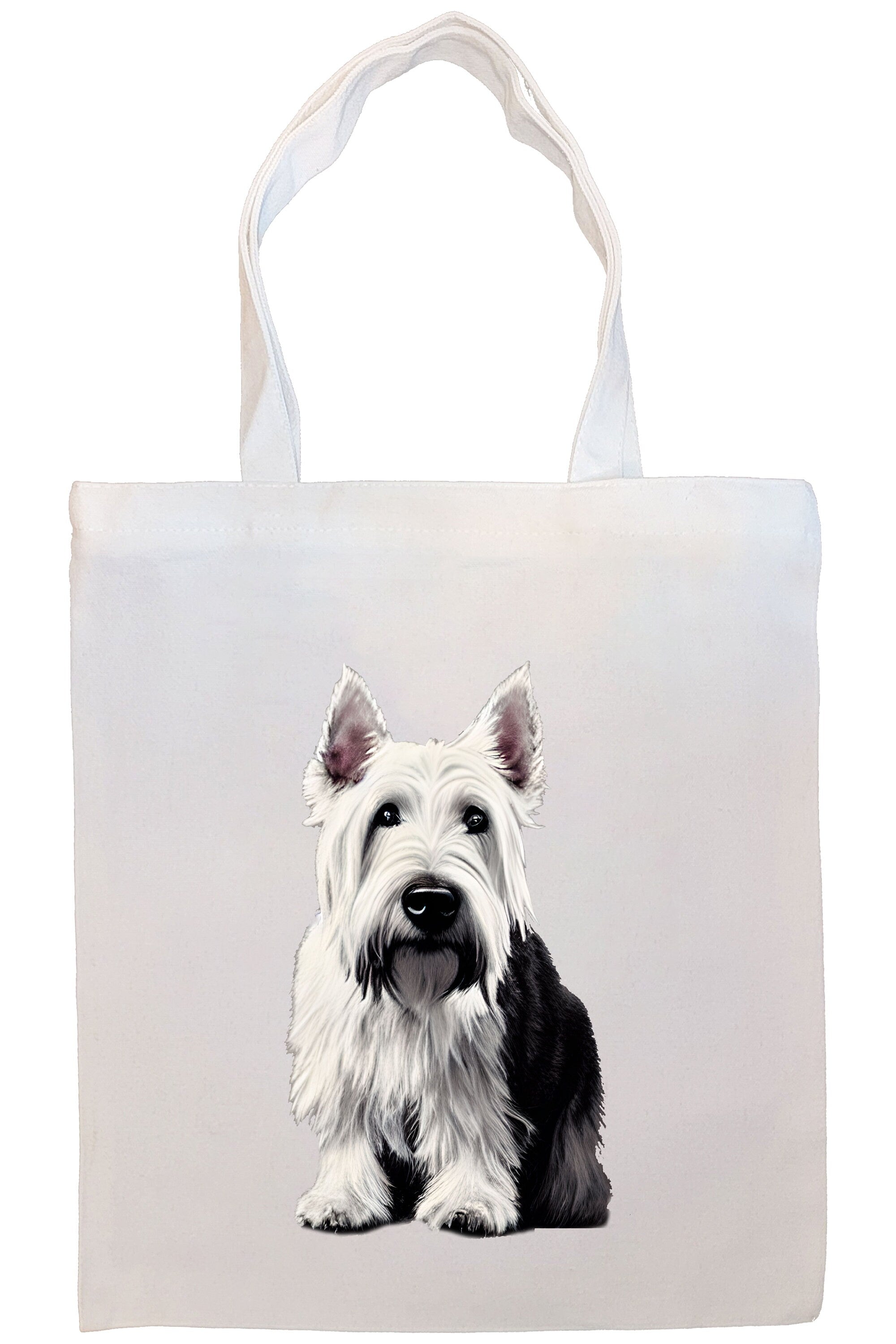 Canvas Tote Bag, Zippered With Handles & Inner Pocket, 