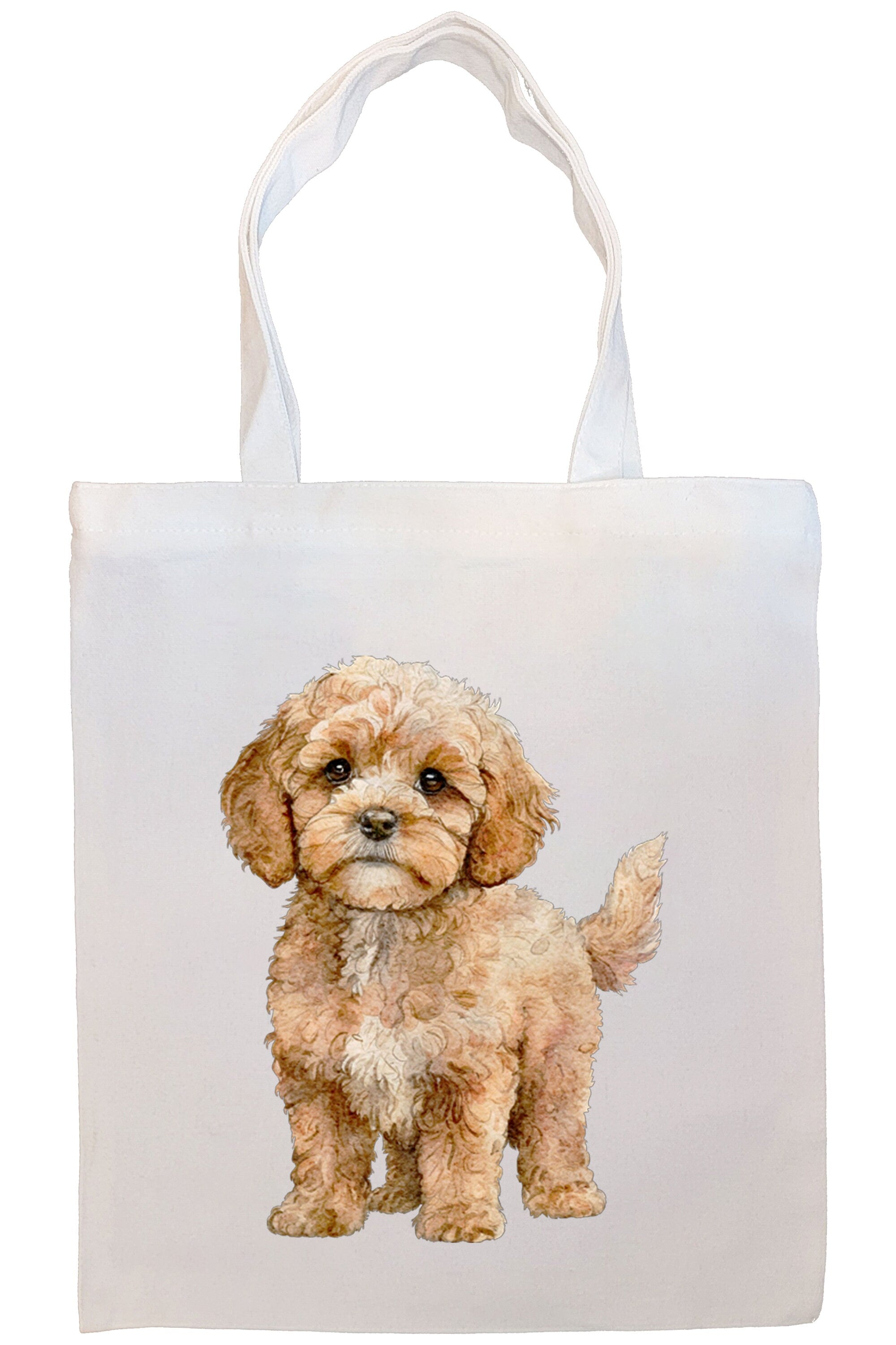 Canvas Tote Bag, Zippered With Handles & Inner Pocket, 