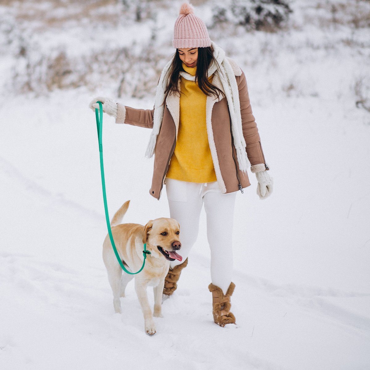 Viper Biothane Long Line 10 ft Lead with Brass Hardware