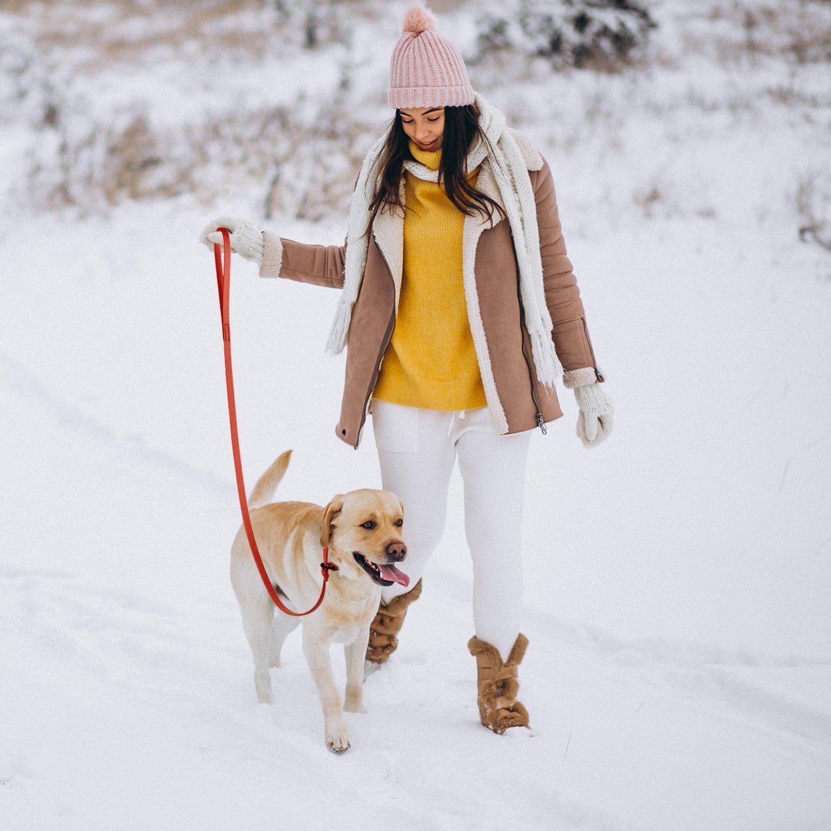 Viper Biothane Long Line 20 ft Lead with Brass Hardware