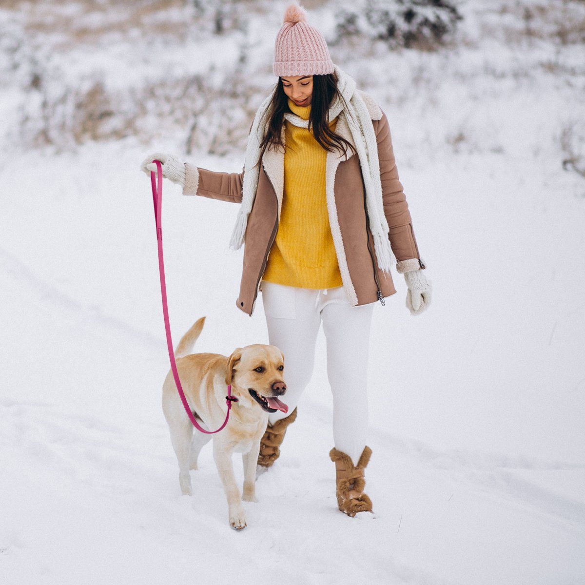 Viper Biothane Long Line 15 ft Lead with Brass Hardware