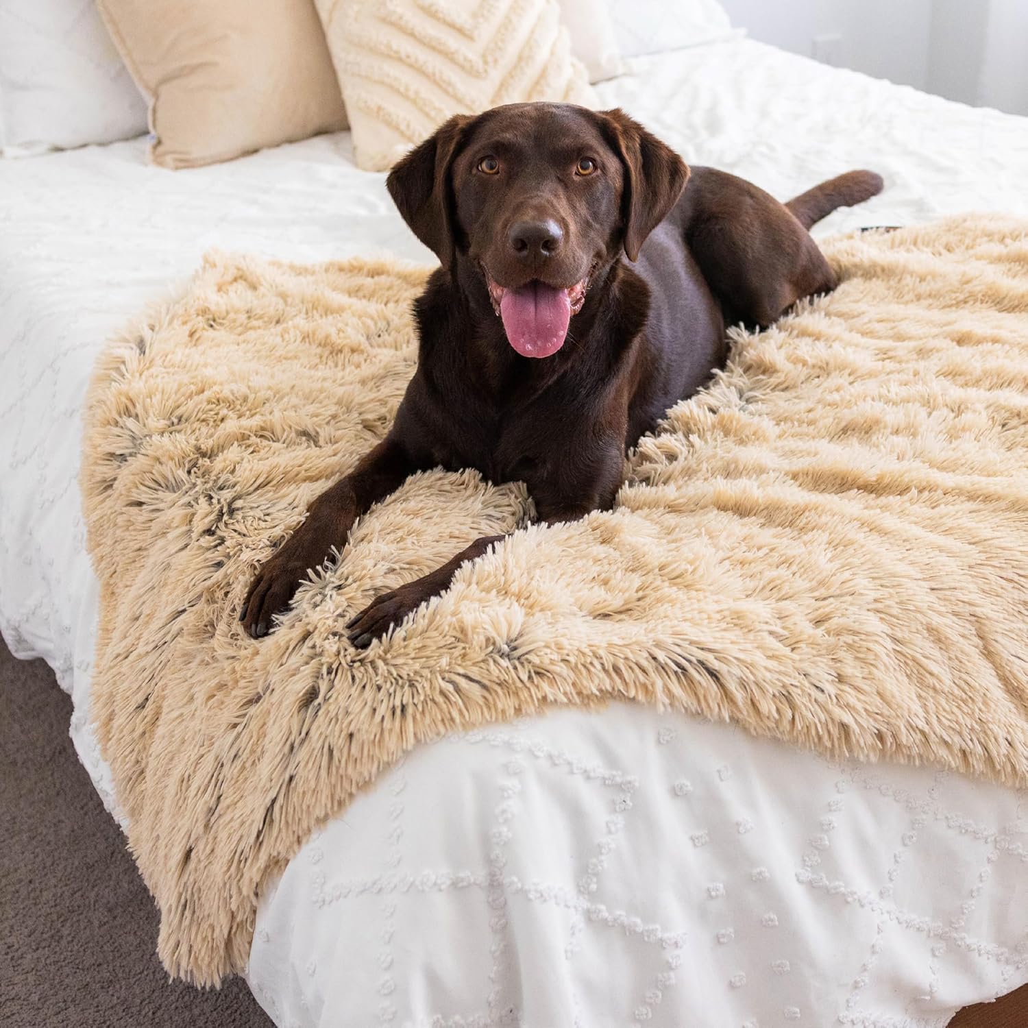 Best Friends by Sheri Blanket Shag Taupe 40x50