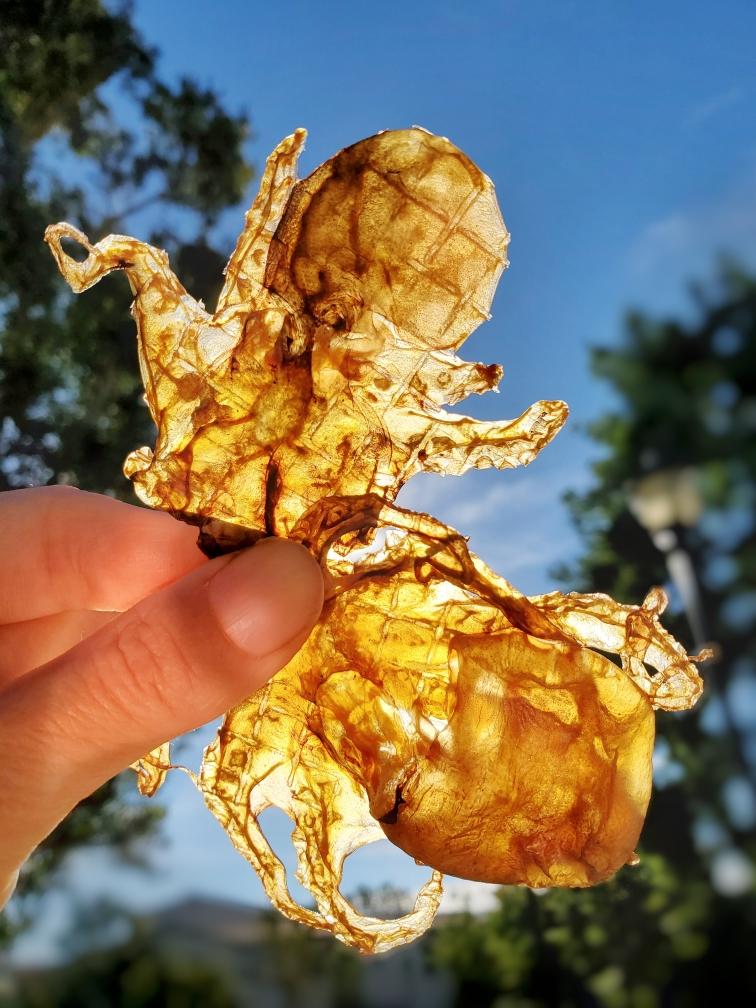 Baby Octopus (Wild Caught)