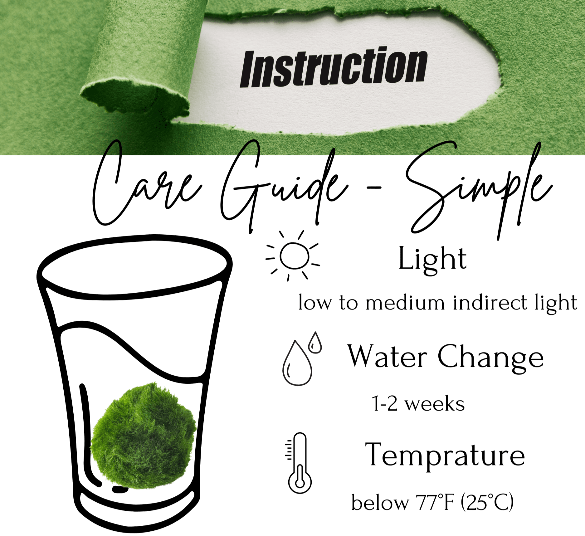 Marimo Moss Balls For Aquarium 20PCS Multiple Size Moss Ball Aqua Plant Pet Bulk Sale - Kokedama Japanese Algae Ball Wholesale