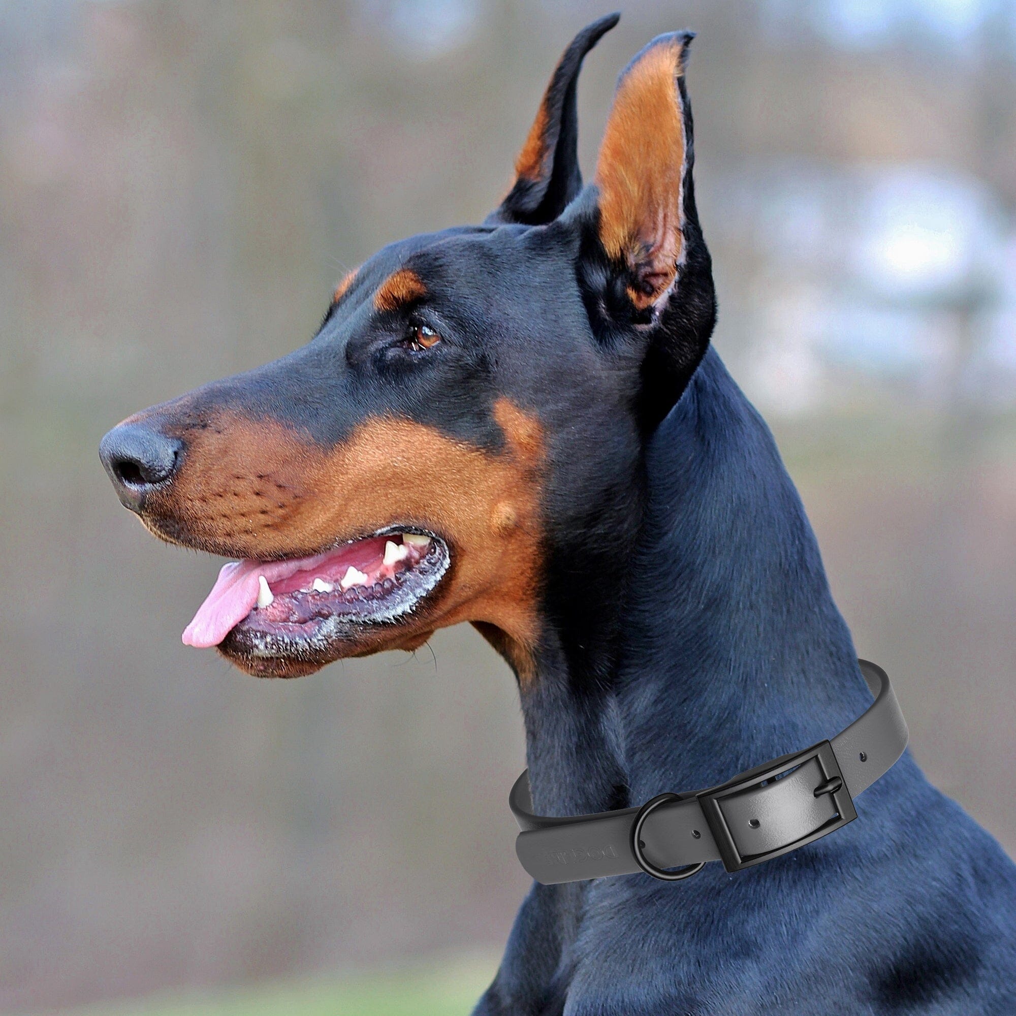 Biothane Waterproof Dog Collar - Large (18 to 22 inches)