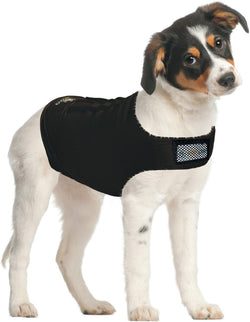 Lg ZenPet Compression Shirt