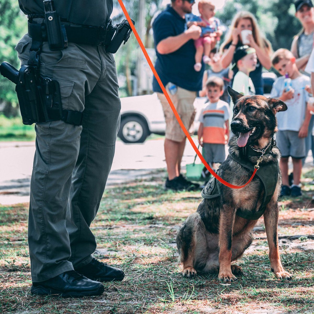 Viper Biothane Long Line 15 ft Lead with Brass Hardware