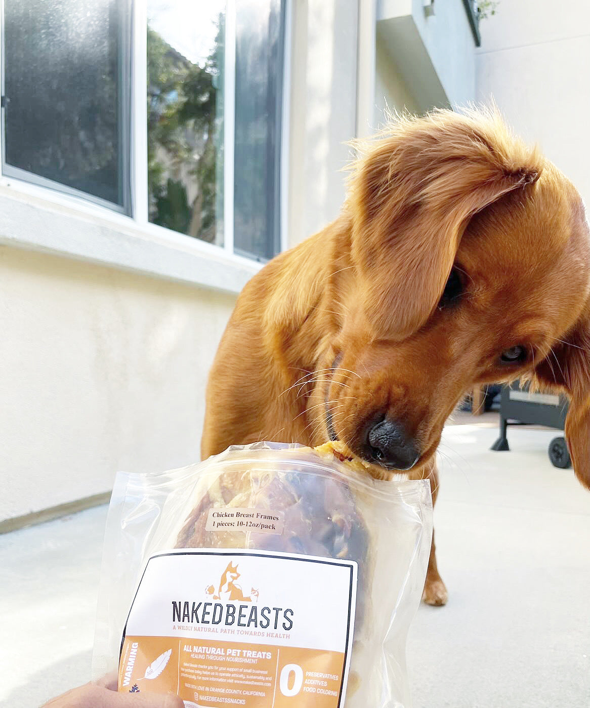 Chicken Frames (Chunked)