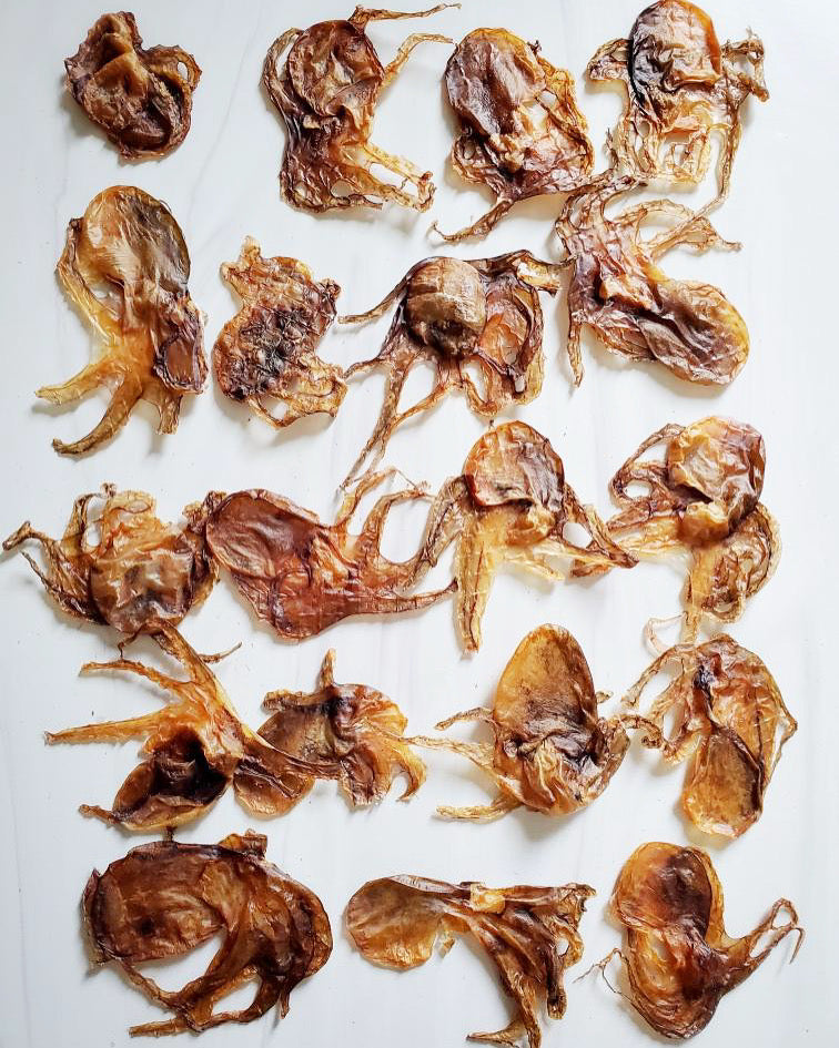 Baby Octopus (Wild Caught)