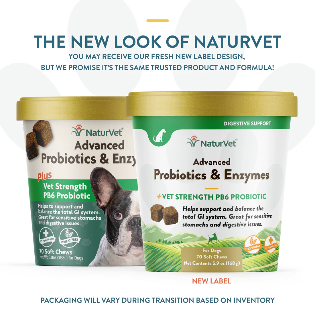 70Ct NaturVet Dog Advanced Probiotic and Enzymes Chew